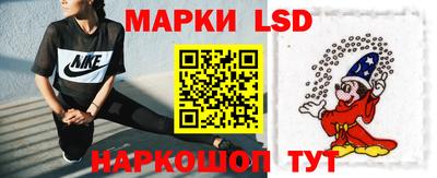 СК Новодвинск
