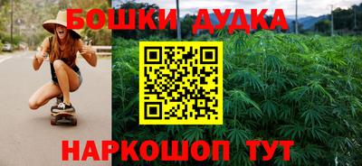 СК Новодвинск