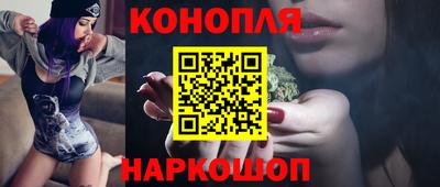 СК Новодвинск