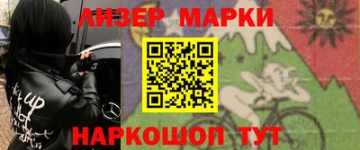 СК Новодвинск
