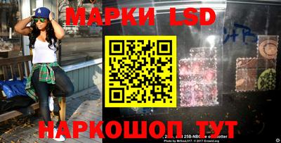 СК Новодвинск