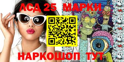 СК Новодвинск