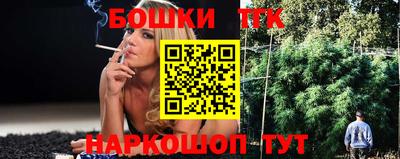 СК Новодвинск