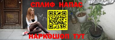 эйфоретик Новокубанск