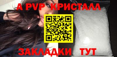 СК Новодвинск