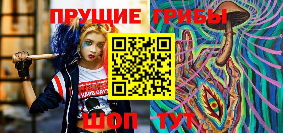 Псилоцибиновые грибы прущие грибы Сегежа