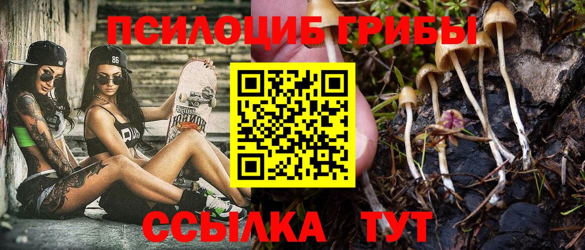 Псилоцибиновые грибы мицелий  Вход с VPN  Сегежа 